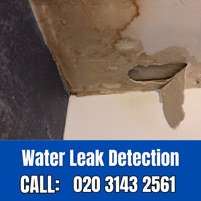 Expert Water Leak Detection Services in Lambeth | Lambeth Leak Detection